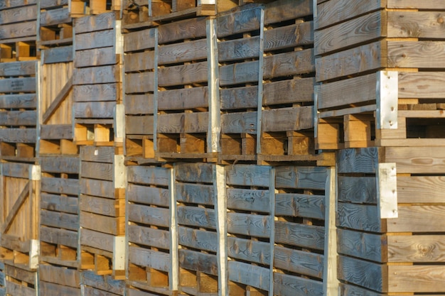 Foto filas de caixas de madeira caixas e paletes para armazenamento e transporte de frutas e legumes no armazém de produção do armazém no território do complexo agroindustrial