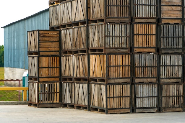 Filas de caixas de madeira, caixas e paletes para armazenamento e transporte de frutas e legumes no armazém de produção do armazém no território do complexo agroindustrial