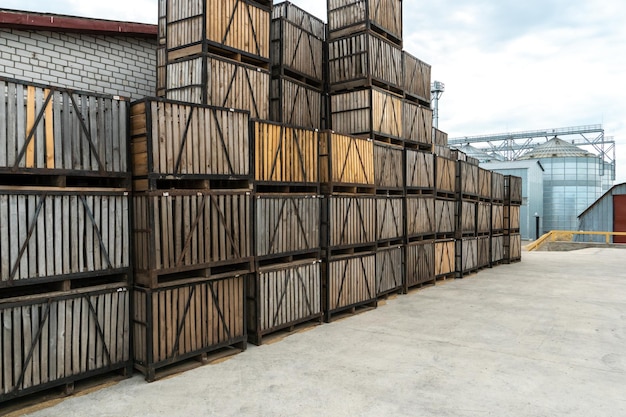 Filas de caixas de madeira, caixas e paletes para armazenamento e transporte de frutas e legumes no armazém de produção do armazém no território do complexo agroindustrial