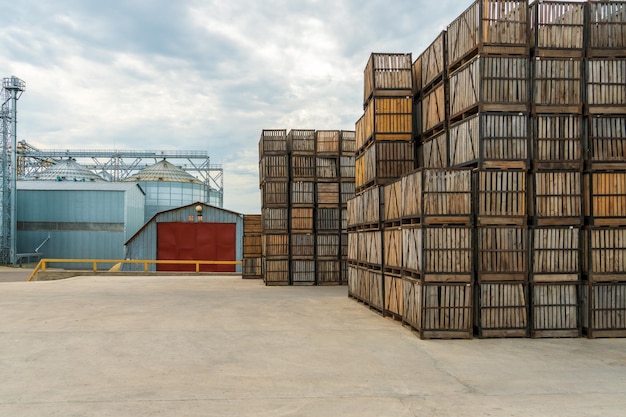 Filas de caixas de madeira, caixas e paletes para armazenamento e transporte de frutas e legumes no armazém de produção do armazém no território do complexo agroindustrial