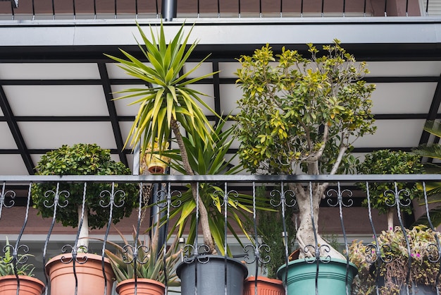 Filas de diferentes plantas en macetas en el balcón