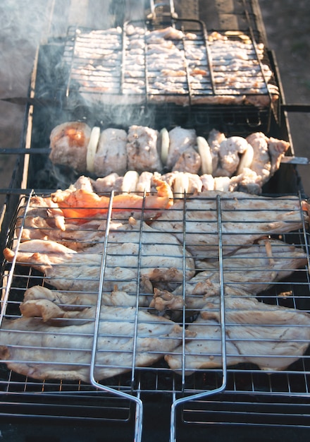 Filés de porco e frango grelhados em um dia ensolarado de verão