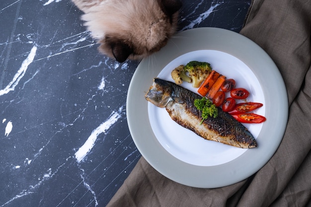 Filete de caballa del pacífico a la parrilla con brócoli, zanahoria, tomate, chile y perejil en un plato de cerámica, mesa de mármol, fondo negro oscuro, concepto de foodstyling, cocina casera