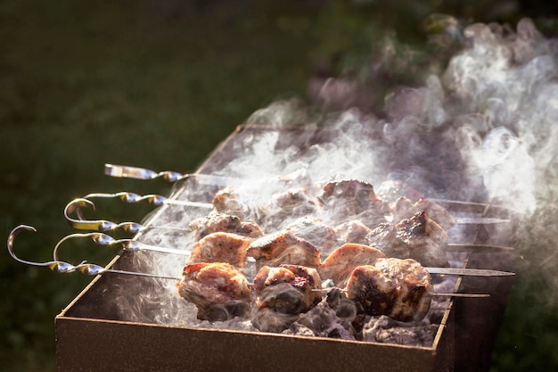 Filetes de kebab de carne a la parrilla en brocheta Carne de grasa de res en parrilla de fuego Preparación de carne sobre carbón caliente C