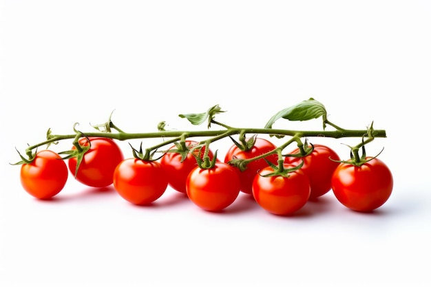 Filha de tomates em videira com folhas verdes em fundo branco IA generativa