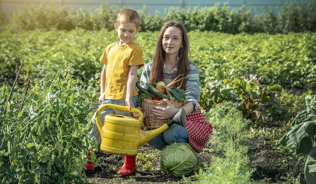 Filho filho e mãe no jardim verde colhem e regam cuidadosamente as camas em um dia ensolarado de verão