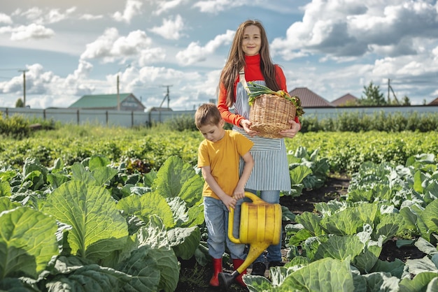 Filho filho e mãe no jardim verde colhem e regam cuidadosamente as camas em um dia ensolarado de verão