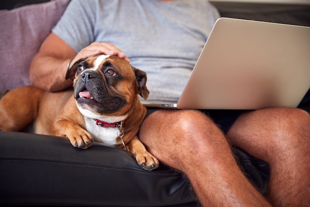 Filhote de buldogue sentado com o dono no sofá enquanto ele trabalha no laptop