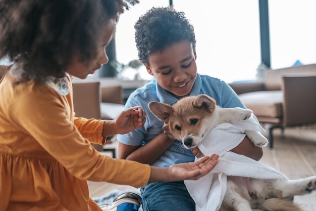 Foto filhote de cachorro após a lavagem. crianças secando o cachorro com uma toalha após a lavagem