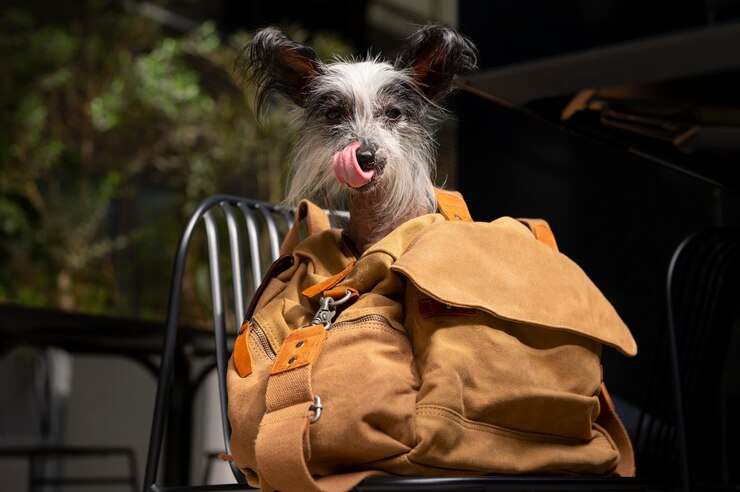 Foto filhote de cachorro bonito no saco ao ar livre