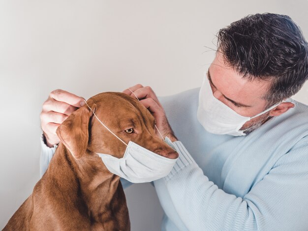 Filhote de cachorro doce de cor chocolate e seu dono