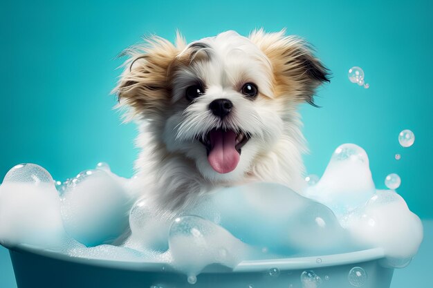 Filhote de cachorro engraçado sentado na banheira esperando pelo banner de preparação para salão de beleza de loja de animais generativo ai