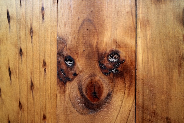 Foto filhote de cachorro incrível olhar como um padrão natural da parede externa de madeira em oásis cidade do norte do chile