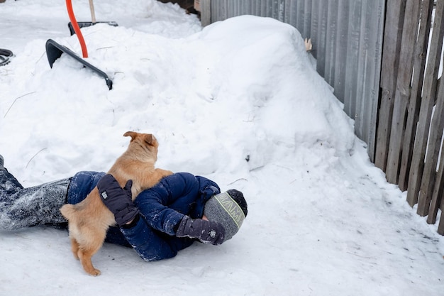 Filhotes jogaram a criança na neve e todos se alegram Jogos engraçados com um cachorro lá fora no inverno