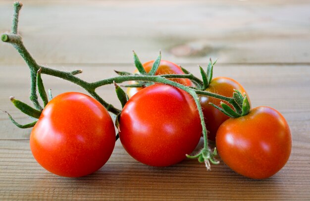 Filial do close up dos tomates de cereja.