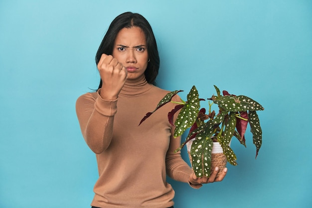 Foto filipina hält eine pflanze im blauen studio und zeigt der kamera ihre faust mit einem aggressiven gesichtsausdruck