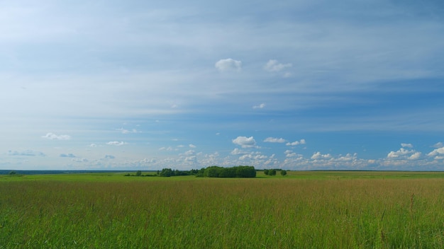 Filmische idyllische Stimmung grünes Feld mit grünem Gras am Tag Sonnenlicht Bewegung malerische Umgebung