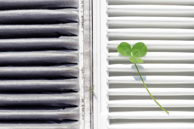 Filtros de aire del vehículo sucios y limpios con tallo de trébol verde sobre blanco