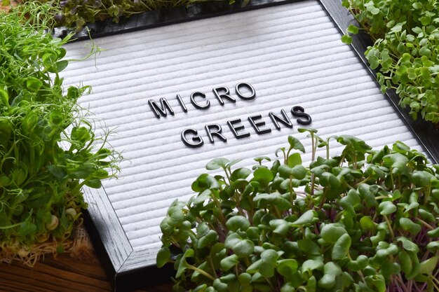 Filzbrett Nahaufnahme mit Buchstaben mit der Aufschrift Micro Greens