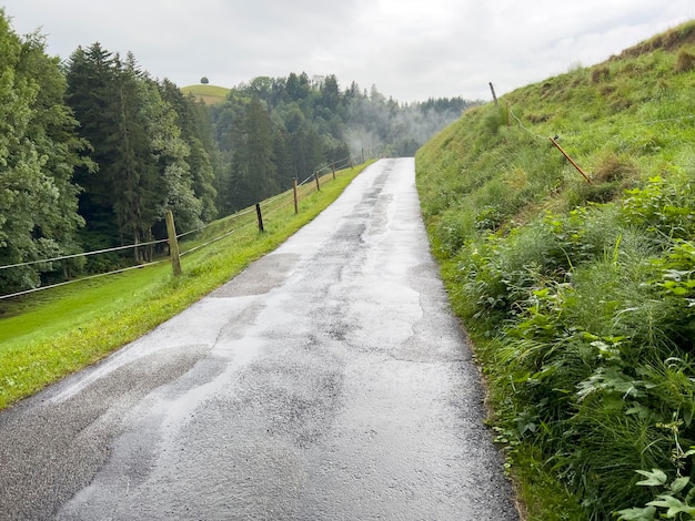 A finales de otoño a menudo hay niebla en Suiza