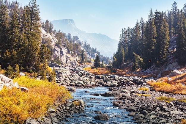 Finales de la temporada de otoño en las montañas