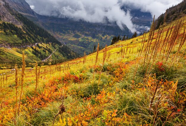 Finales de la temporada de otoño en las montañas