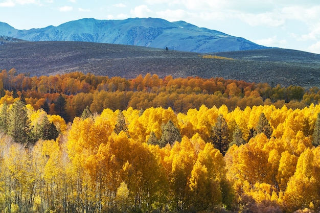 Finales de la temporada de otoño en las montañas