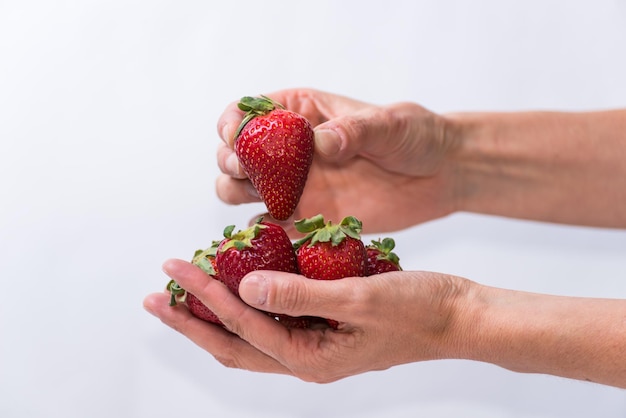 Finger, die einen gesunden lebenden Lebensstil der roten Erdbeerfrucht wählen