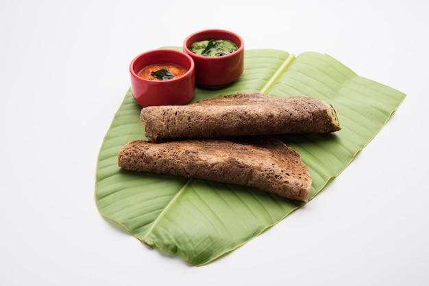 Fingerhirse oder Ragi Dosa ist ein gesundes indisches Frühstück, serviert mit Chutney, in Rollen-, Flach- oder Kegelform