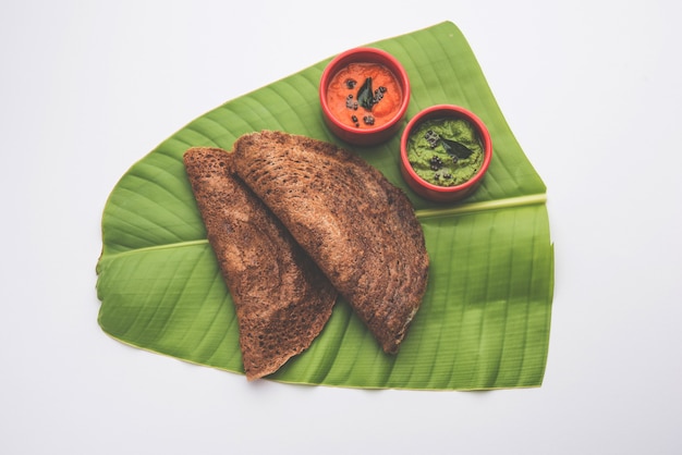 Fingerhirse oder Ragi Dosa ist ein gesundes indisches Frühstück, serviert mit Chutney, in Rollen-, Flach- oder Kegelform