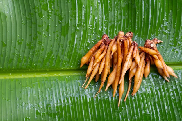 Fingerwurzel auf Bananenblatt