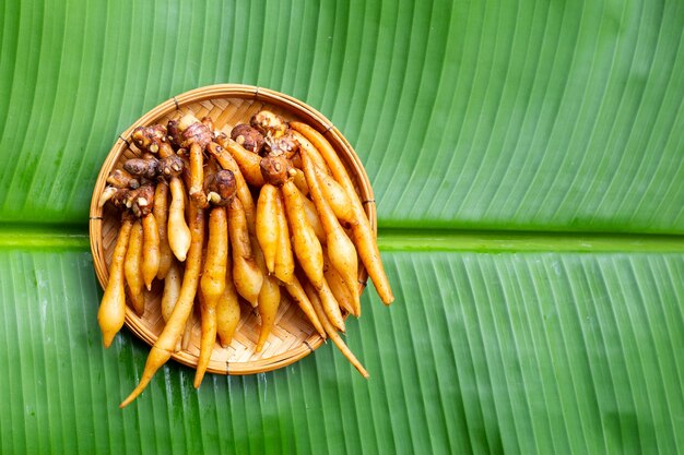 Fingerwurzel im Bambuskorb auf Bananenblatt