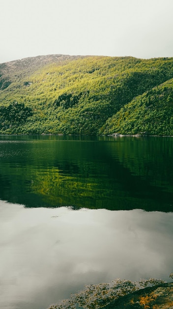 Foto fiord noruego montañas y fiordos hermosa naturaleza de noruega