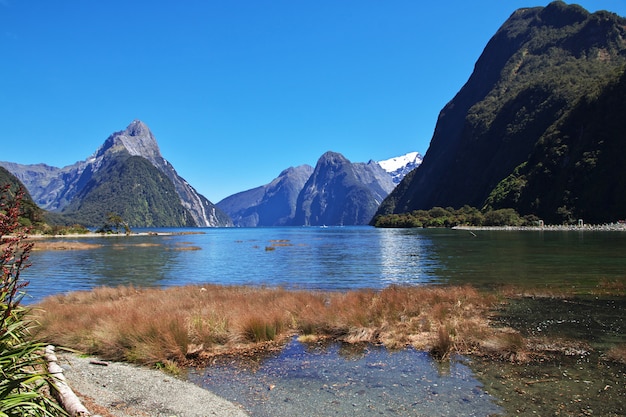 Foto fiorde de milford sound, nova zelândia