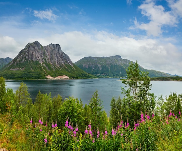 Fiorde verão nublado vista noruega