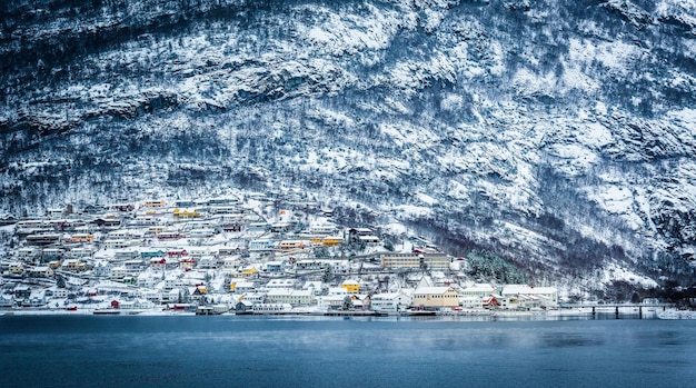 Fiordes noruegueses no inverno