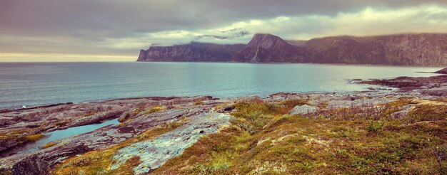 Fiordo playa rocosa al atardecer Fauna Noruega Isla Senja Hermosa bahía Banner horizontal