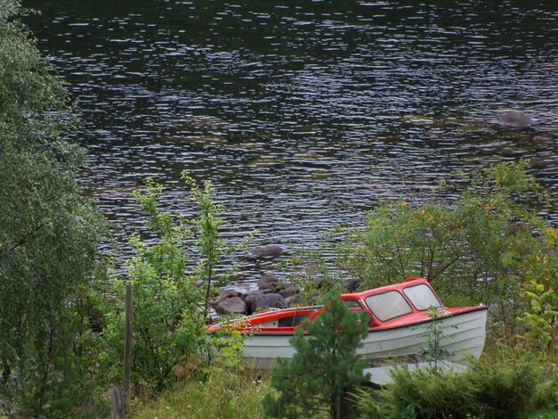 Foto en los fiordos noruegos