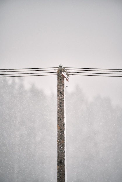 Fios de eletricidade perigosos de inverno Neve suja em fios