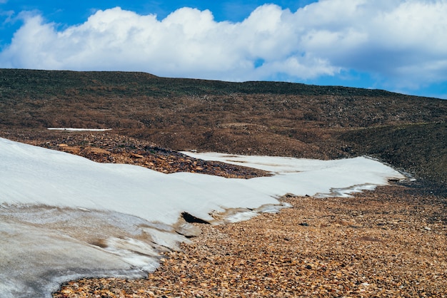 Firn en la colina pedregosa en las tierras altas