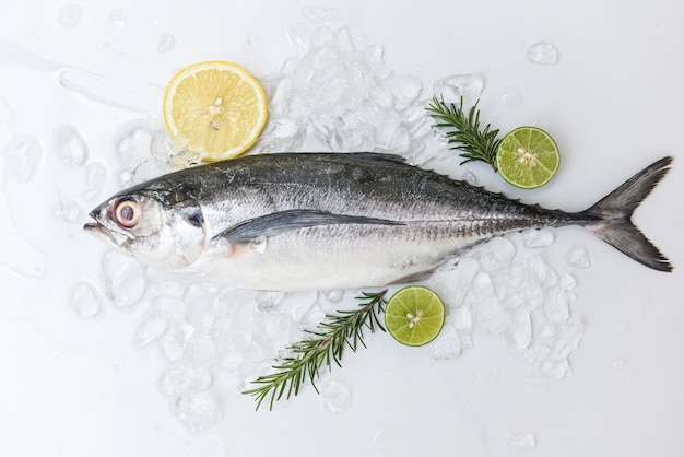 Fisch auf Eis zum Kochen von Speisen im Restaurant, Frischer Fisch roher Torpedo-Scad Makrele