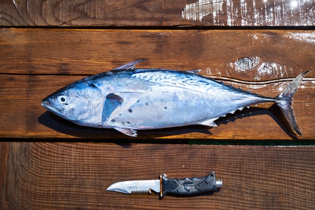 Fisch mit Messer