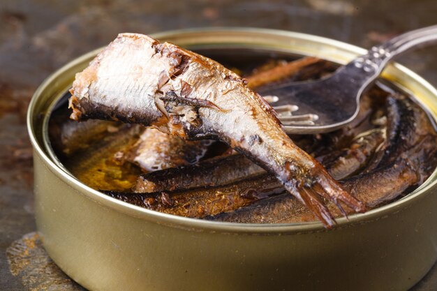 Fisch spießt Dosenfutter in Öl in einem Tincan