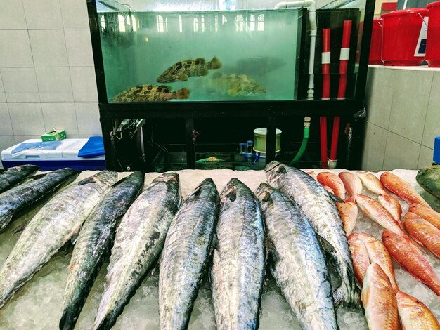 Foto fisch zum verkauf auf dem markt