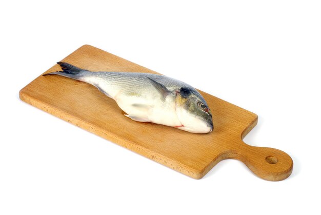 Fisch