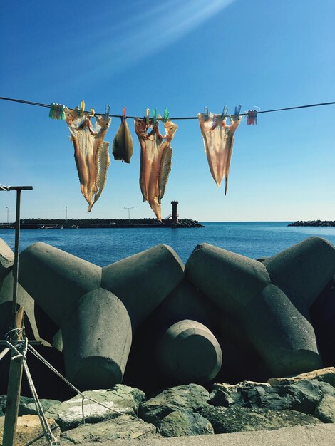 Foto fische trocknen am strand vor klarem blauen himmel