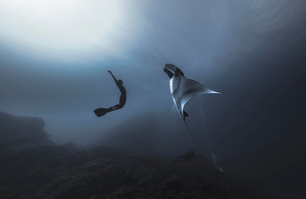 Fische und Menschen schwimmen im Meer