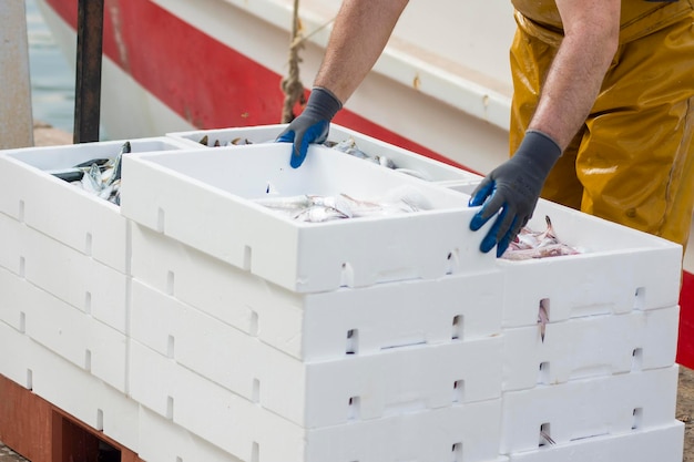Fischer bereiten in weißen Behältern frisch gefangene Meeresdelikatessen zu.