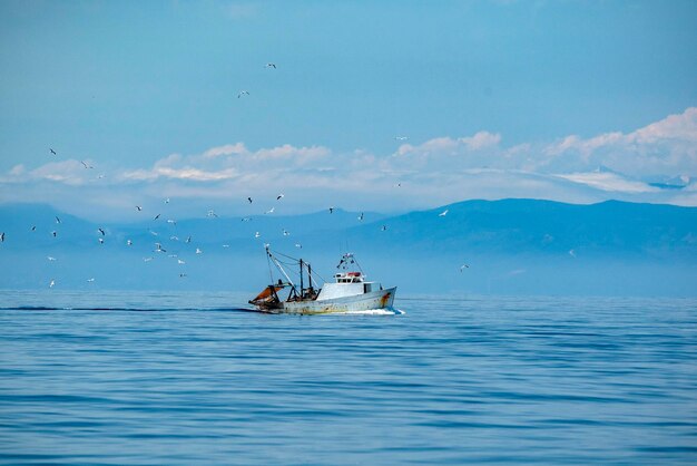 Fischerfischerboot mit vielen Seemöwen