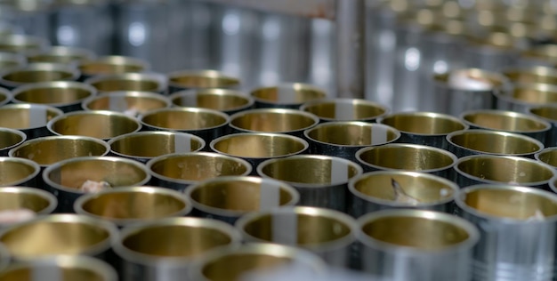 Fischkonservenfabrik Lebensmittelindustrie Viele Dosen Sardinen auf einem Förderband Sardinen in roten Tomaten